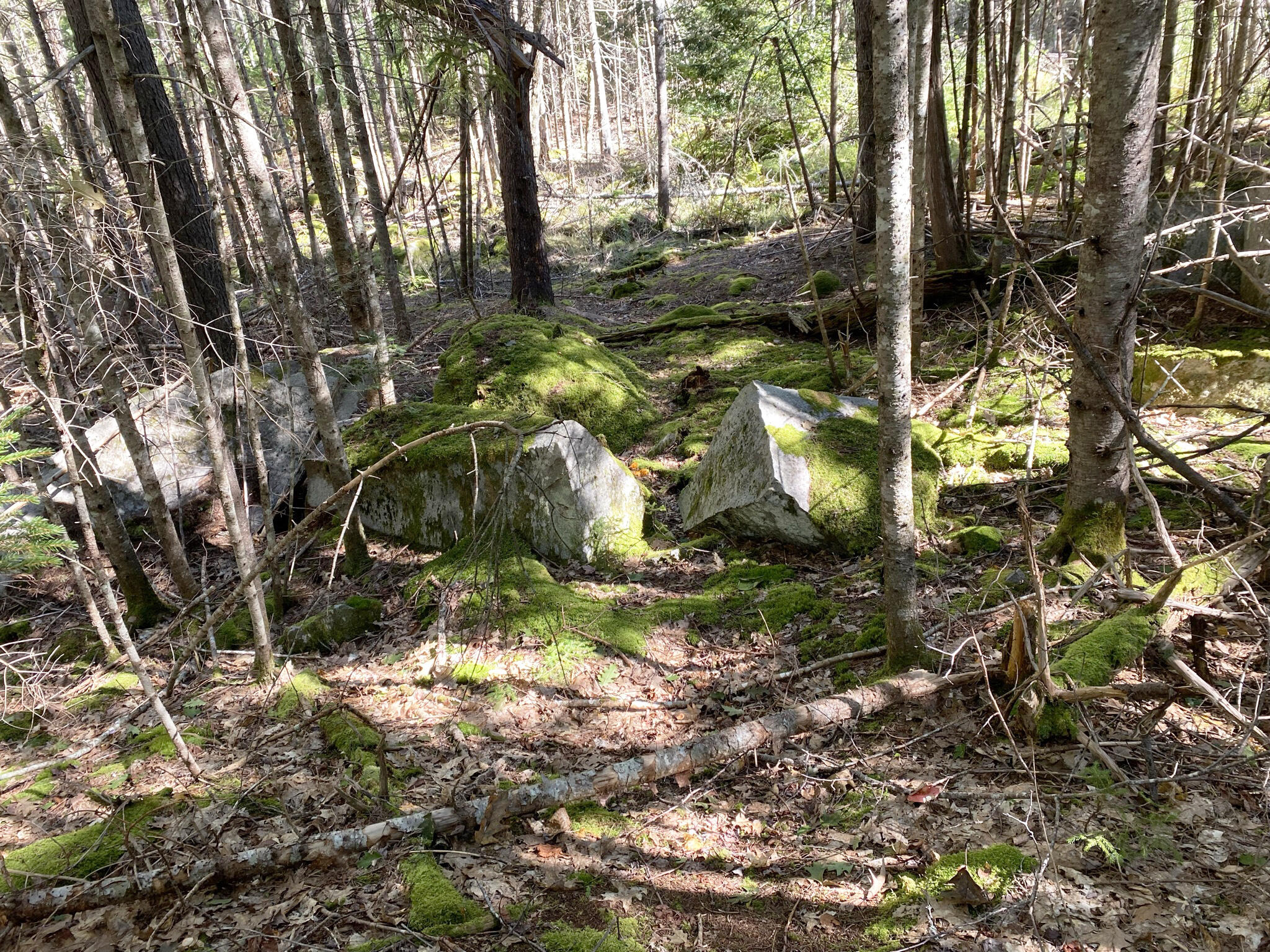 910 Castine Road Orland, ME 04472 - Photo 41 of 47 Split granite in path