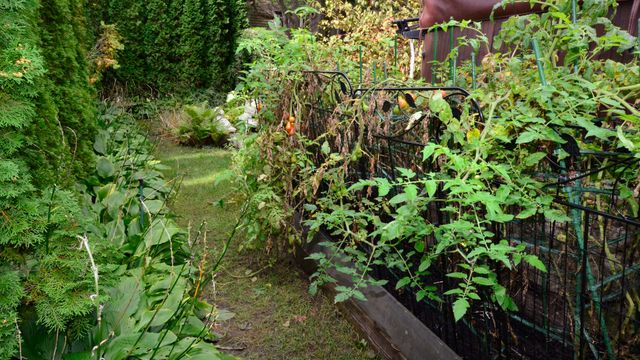 $630,000 | 305 Barton Avenue, Evanston, IL 60202