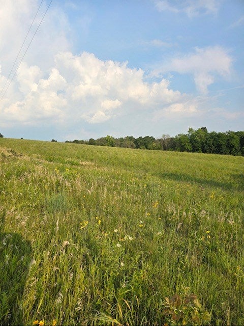1 Fox Road Purdin, MO 64674 - Photo 5 of 12 Gallery Image 5