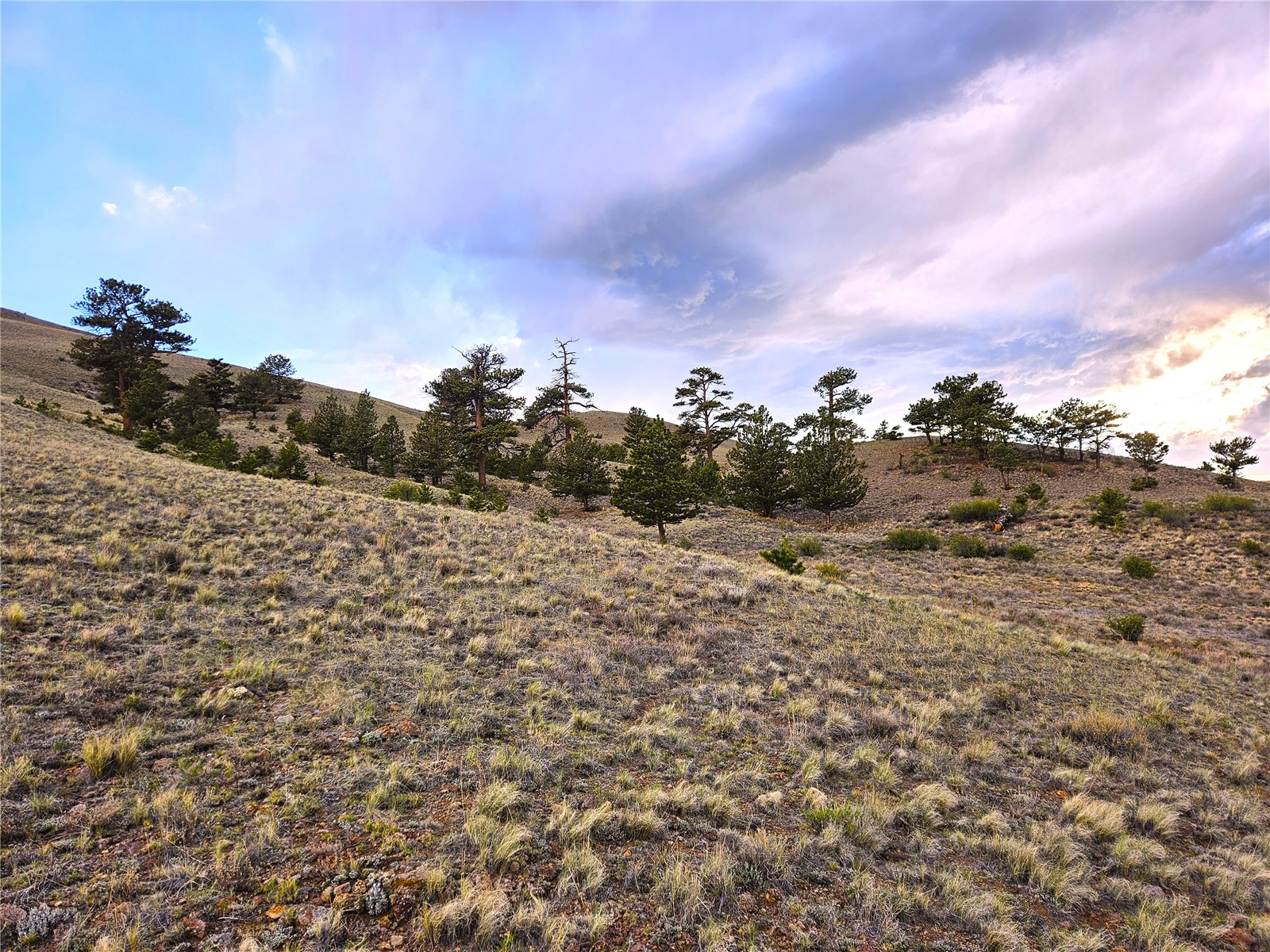 Pcs#25427 Yuma Road Hartsel, CO 80449 - Photo 16 of 29