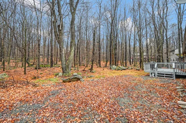 a backyard of a house with a large tree