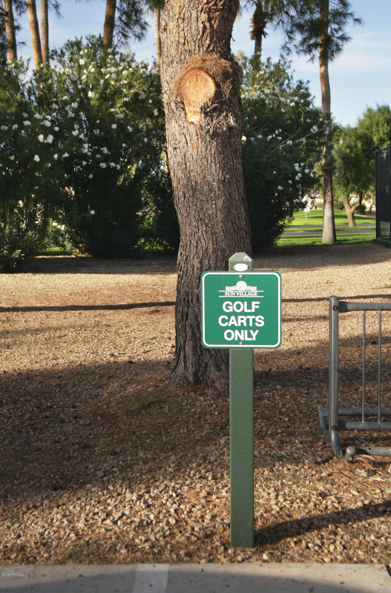14300 West Bell Road, Unit 306 Surprise, AZ 85374 - Photo 14 of 14 Golfcart Parking