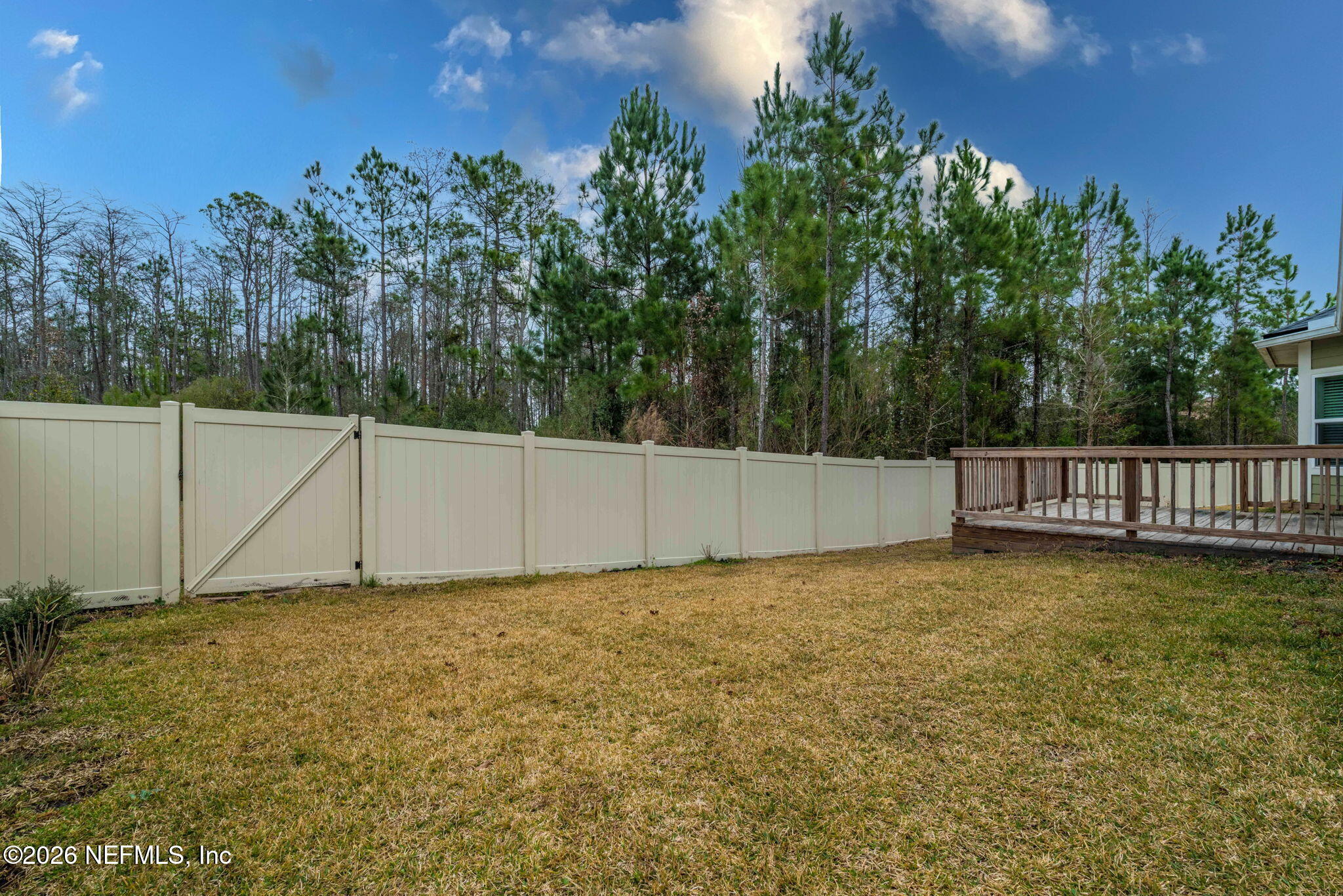 620 Ivory Palm Road Orange Park, FL 32073 - Photo 38 of 53 a view of a backyard