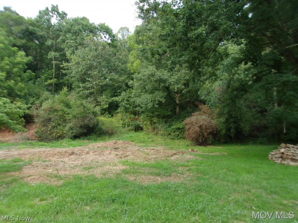0 Deerwalk Road Walker, WV 26180 - Photo 2 of 3 Gallery Image 2