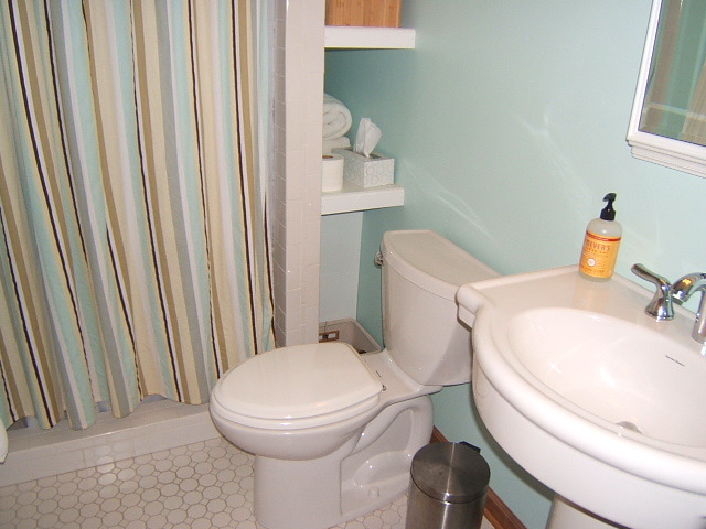 1112 Muse Road Fincastle, VA 24090 - Photo 12 of 30 Master Bath