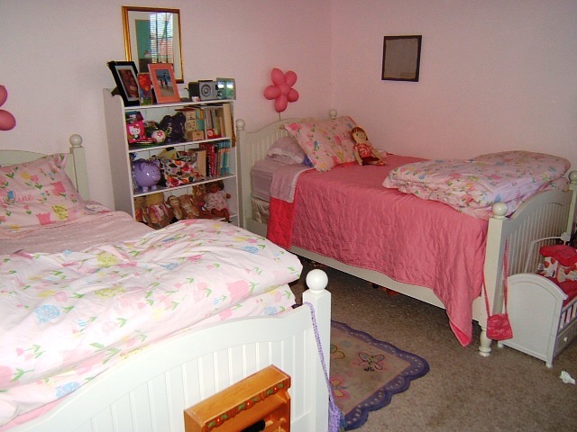 1112 Muse Road Fincastle, VA 24090 - Photo 14 of 30 Bedroom 2