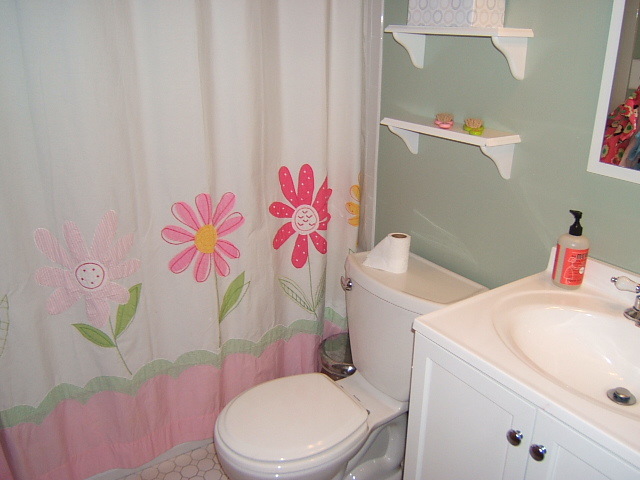 1112 Muse Road Fincastle, VA 24090 - Photo 16 of 30 Bathroom w/gleaming tile