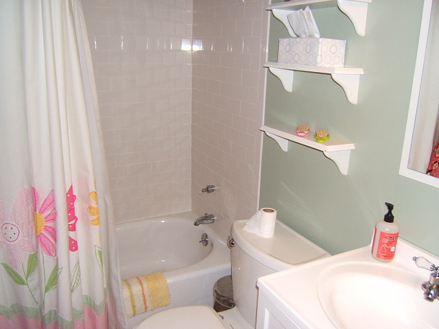 1112 Muse Road Fincastle, VA 24090 - Photo 17 of 30 Bathroom
