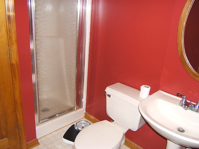 1112 Muse Road Fincastle, VA 24090 - Photo 20 of 30 Lower Level Bathroom