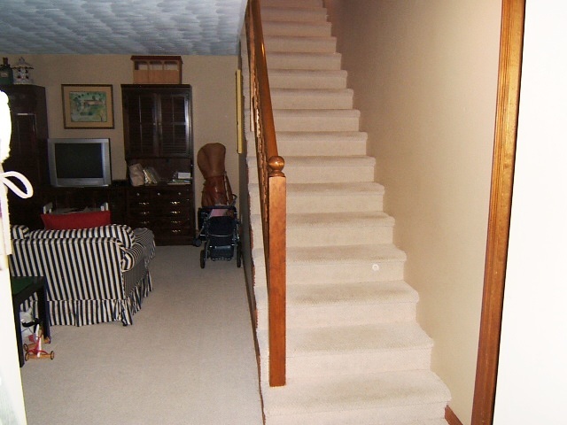 1112 Muse Road Fincastle, VA 24090 - Photo 22 of 30 Stairs to entry level