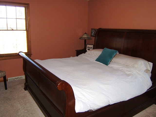 1112 Muse Road Fincastle, VA 24090 - Photo 10 of 30 Master BR