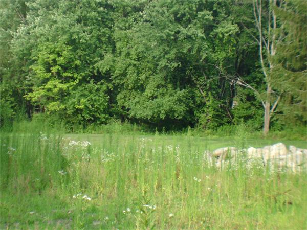 Lot 1 Flagg Road Westford, MA 01886 - Photo 8 of 12 Gallery Image 8