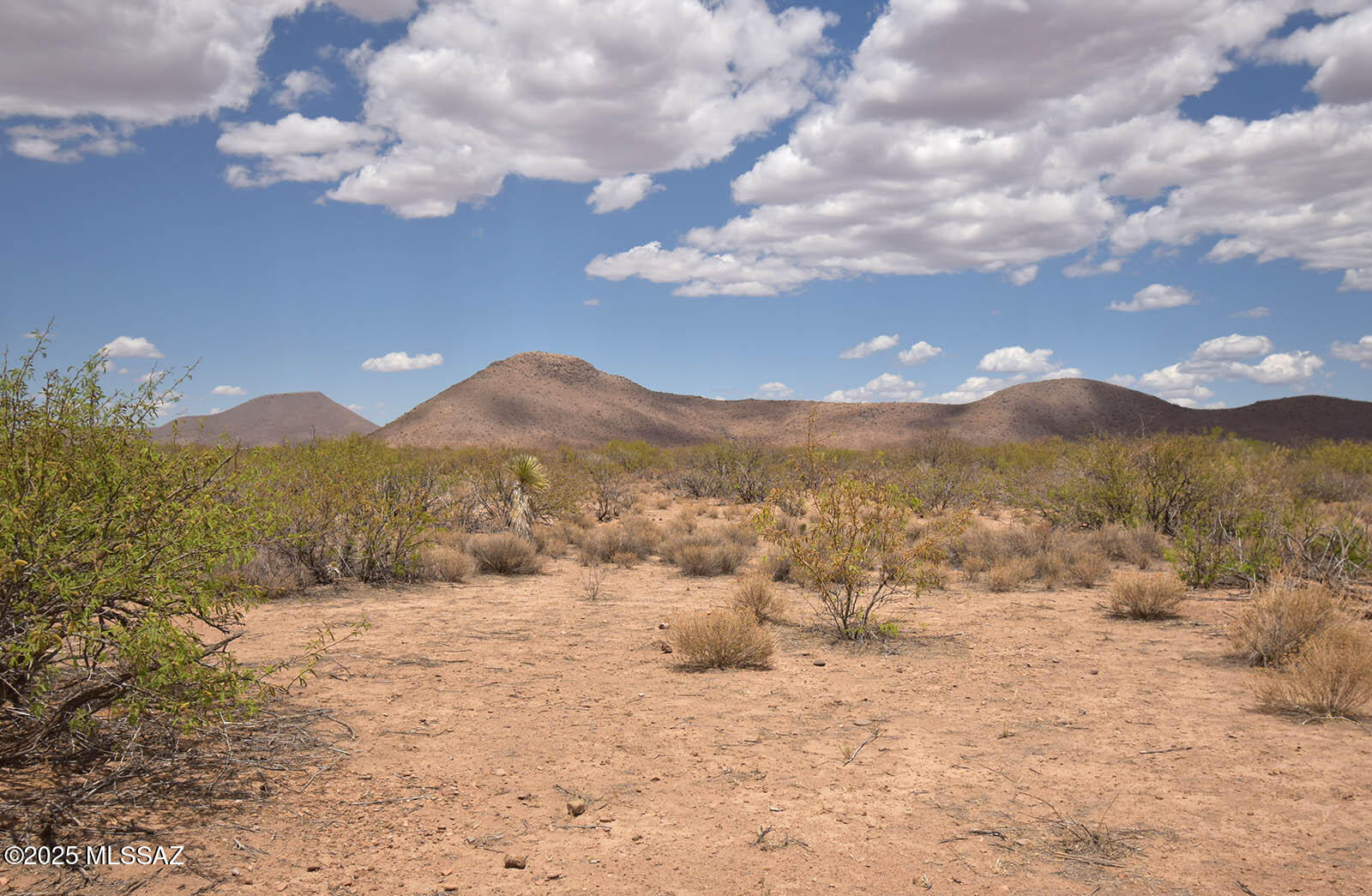 2.7-ac West Austin Henely Road, Unit 706 Elfrida, AZ 85610 - Photo 8 of 17
