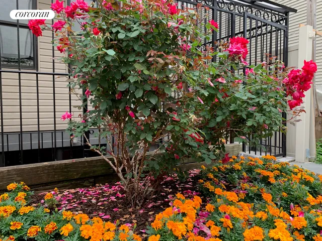 a picture of flowers