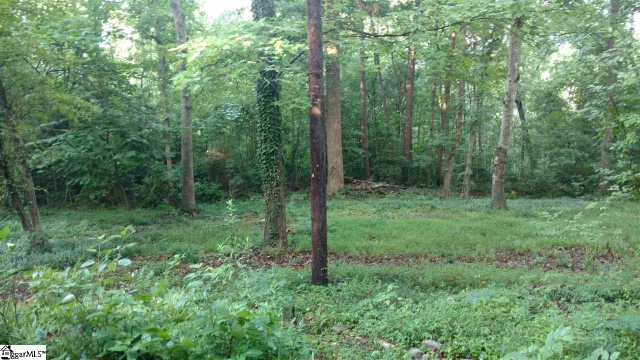 229 State Rd S-42-7477 Greer, SC 29651 - Photo 16 of 20 Gallery Image 16