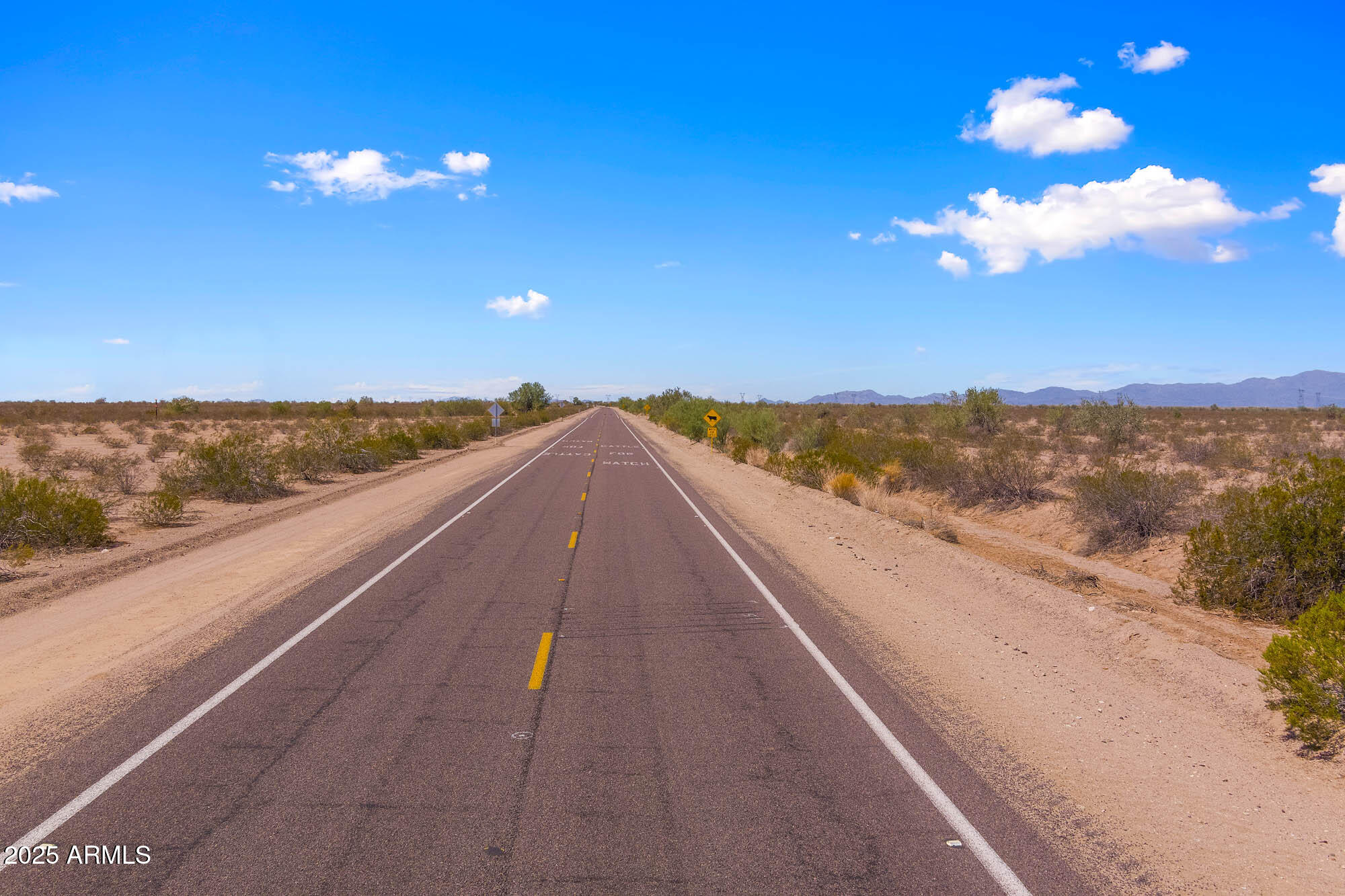 53900 West Butler Road Tonopah, AZ 85354 - Photo 18 of 19 MAX_0112