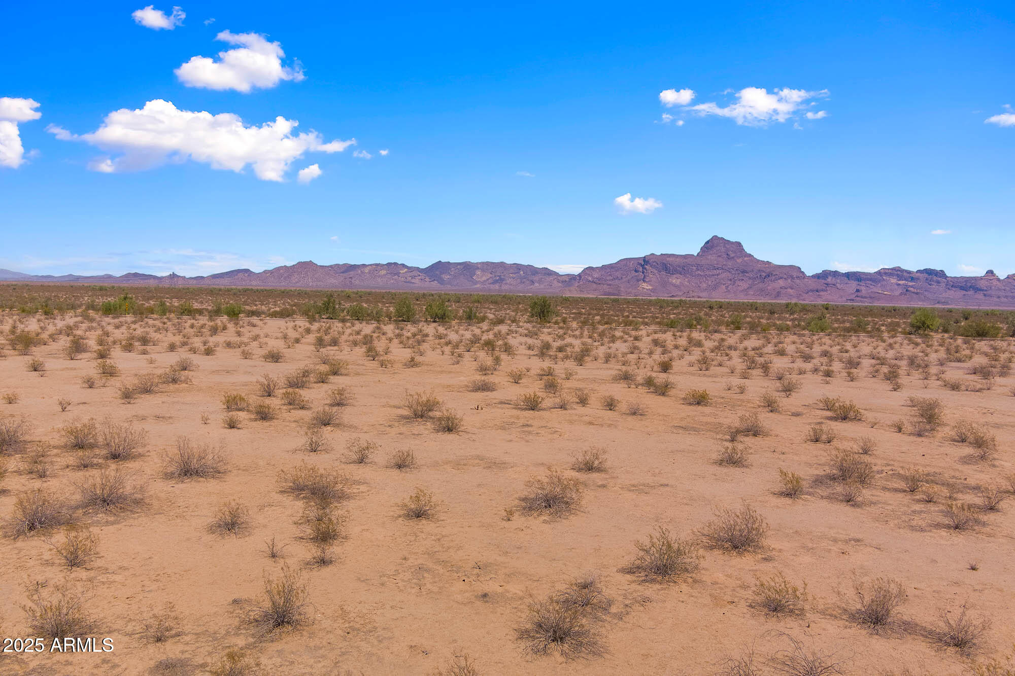 53900 West Butler Road Tonopah, AZ 85354 - Photo 4 of 19 MAX_0129