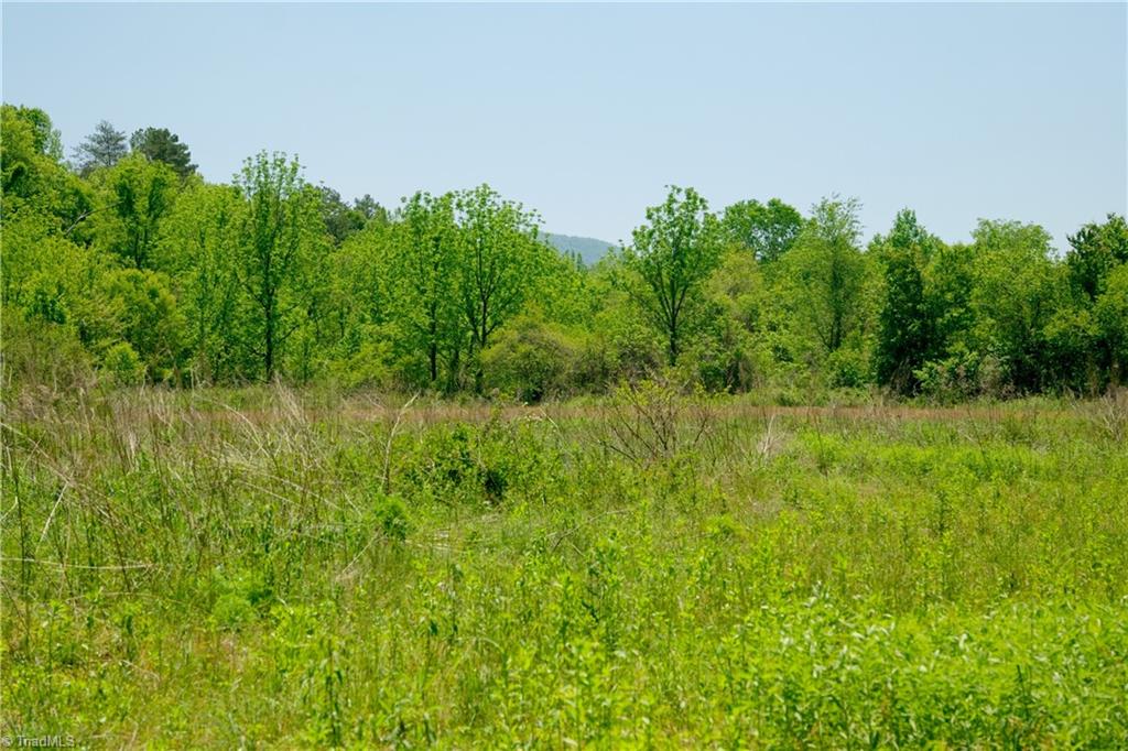 2 Morrison Road Morganton, NC 28655 - Photo 4 of 13