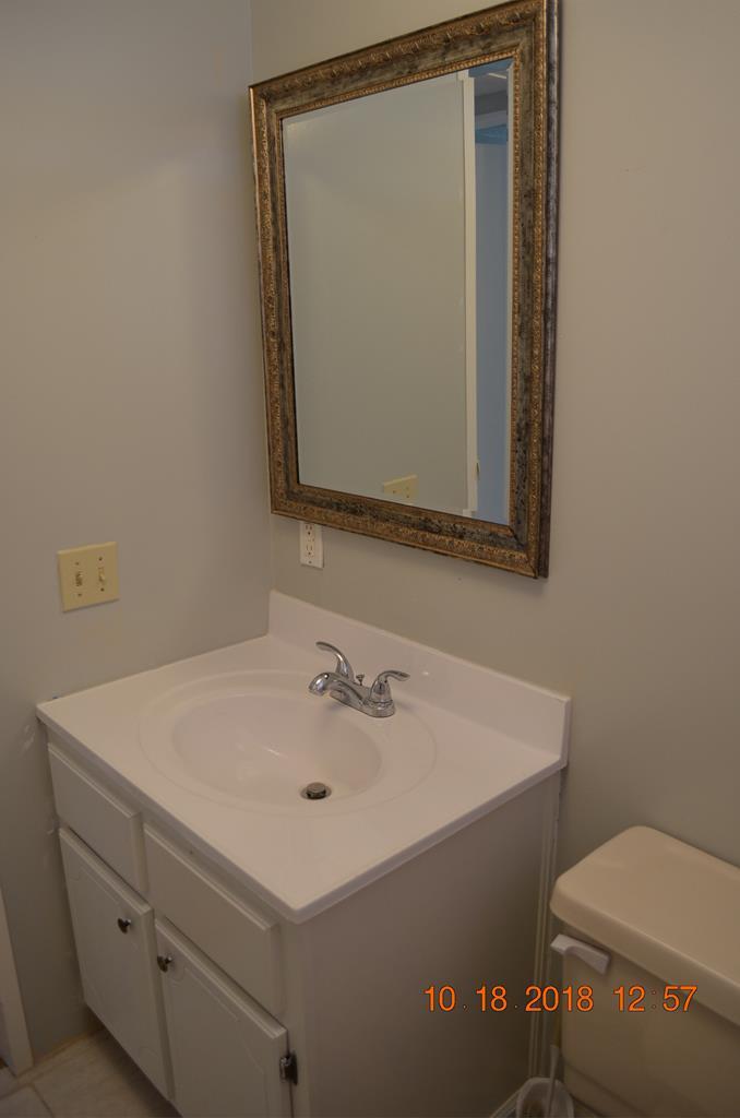 1055 Burnett Road Byron, GA 31008 - Photo 16 of 23 a bathroom with a sink a toilet and mirror