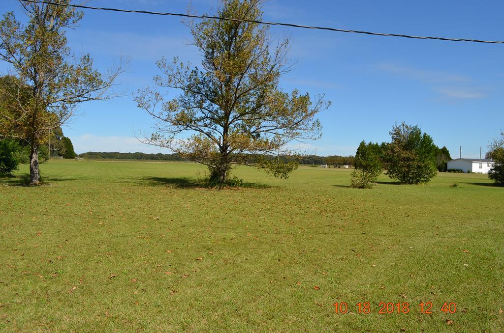 1055 Burnett Road Byron, GA 31008 - Photo 3 of 23 a view of an ocean