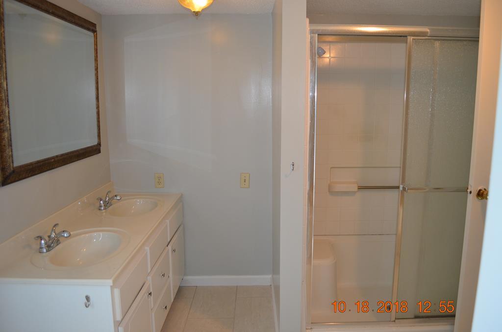 1055 Burnett Road Byron, GA 31008 - Photo 10 of 23 a bathroom with a sink and a mirror