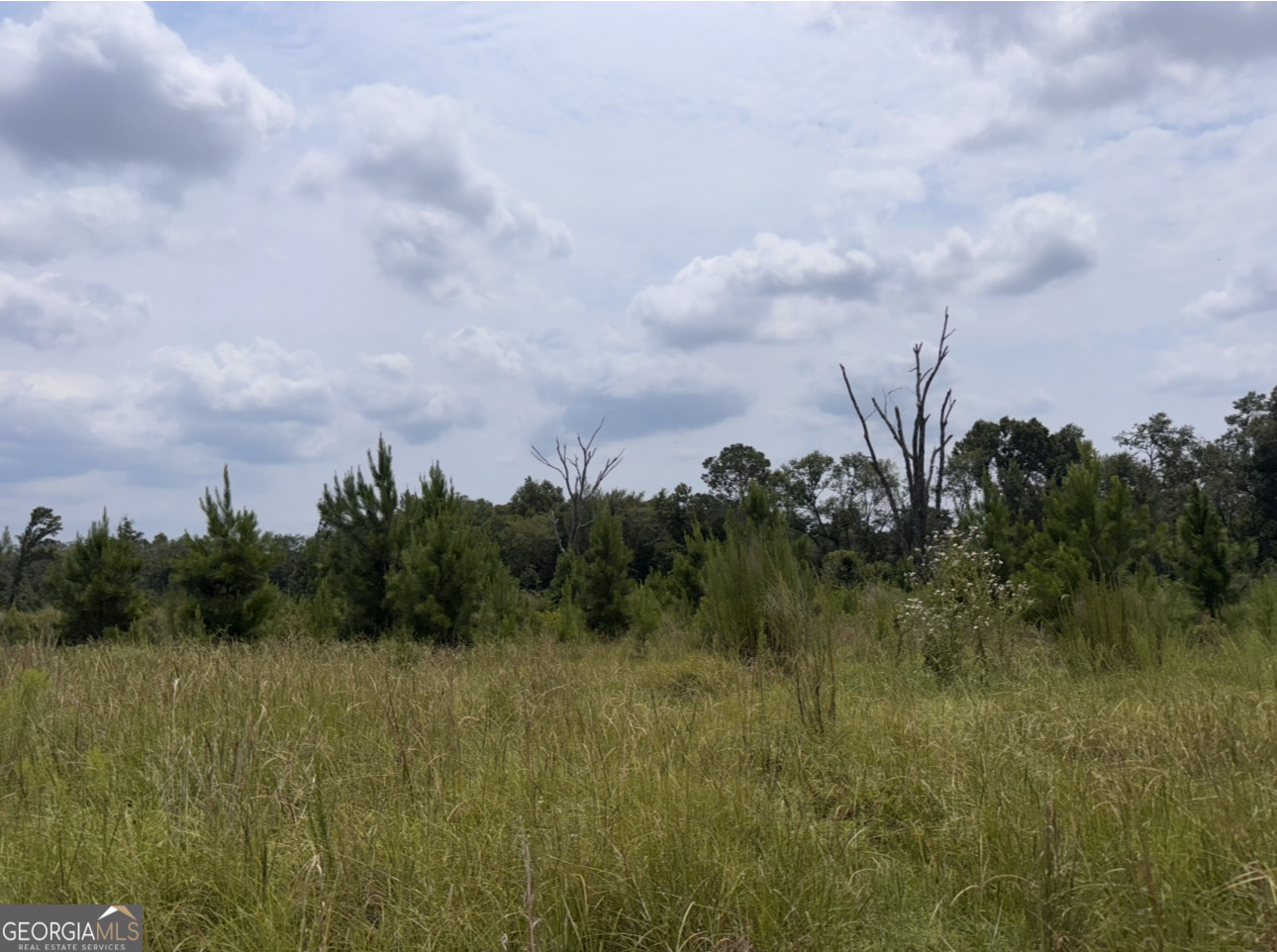 0 Rose Hollow Road Lyons, GA 30436 - Photo 1 of 4 Gallery Image 1