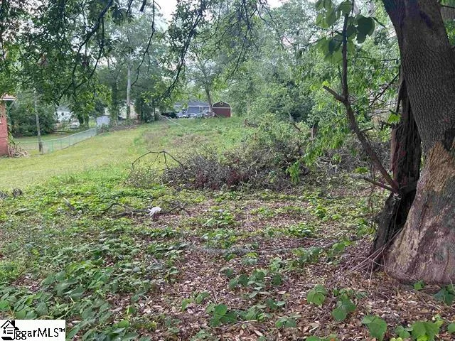 $29,000 | 639 South Harper Street, Laurens, SC 29360