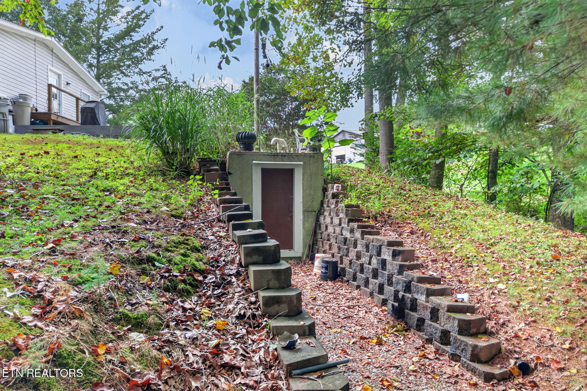 1100 Reeder Road Byrdstown, TN 38549 - Photo 8 of 24 8-web-or-mls-1100 Reeder Rd_6