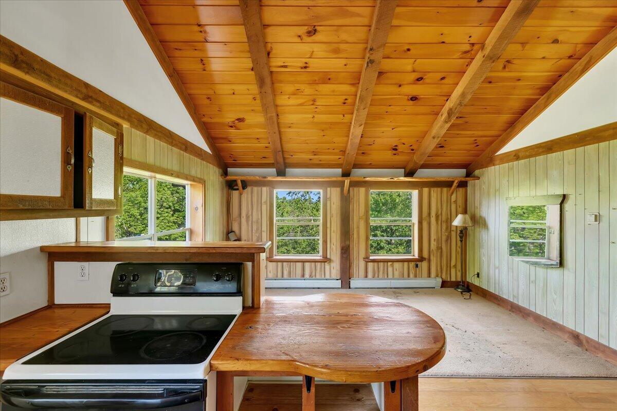 146 Big Brook Road Indian Lake, NY 12842 - Photo 36 of 41
