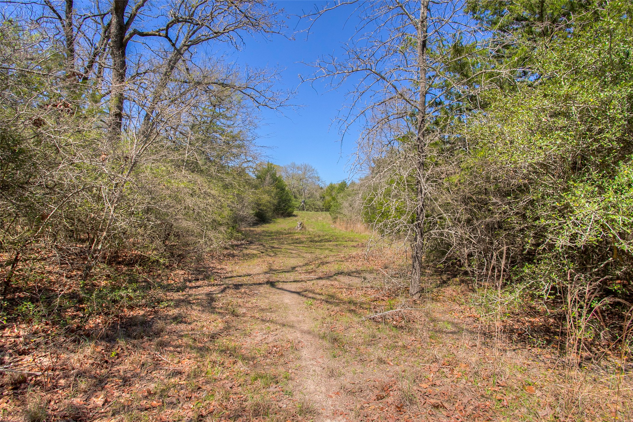 482 County Road 482 Normangee, TX 77871 - Photo 24 of 49