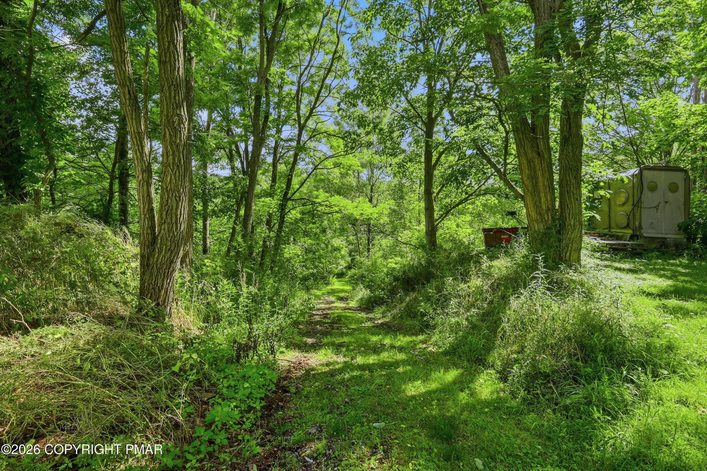 1560 Reservoir Road Moscow, PA 18444 - Photo 51 of 59 Photo-15 (6)