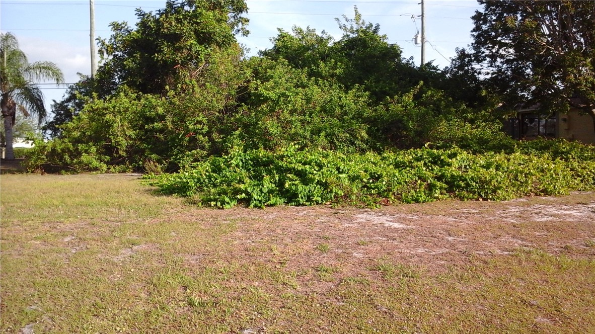 306 Main Street Sebastian, FL 32958 - Photo 2 of 10 a view of a garden with plants