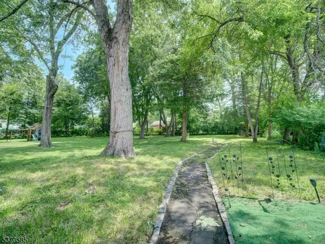 a view of a garden with trees
