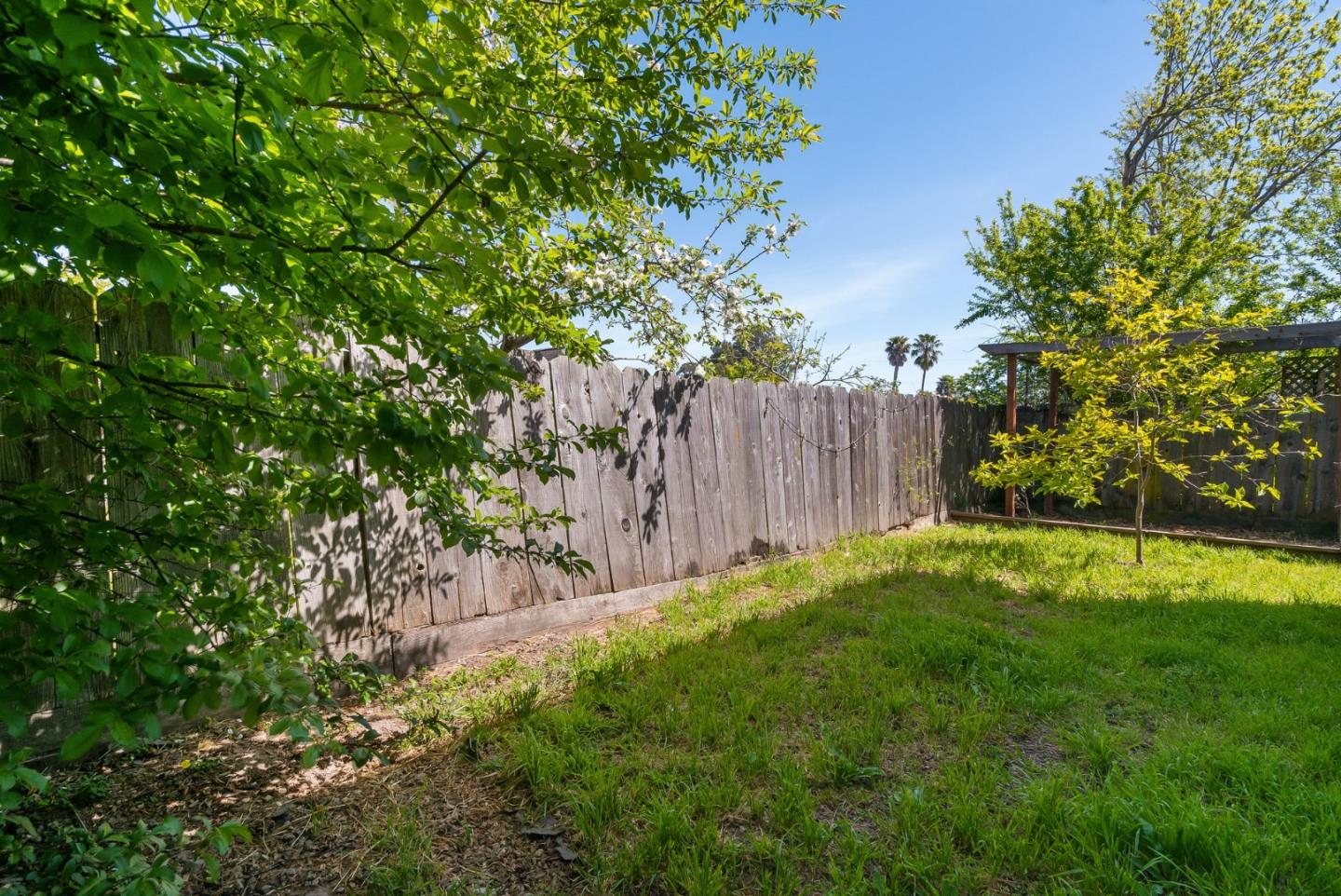 620 Sumner Street Santa Cruz, CA 95062 - Photo 31 of 45 a view of a yard with a tree