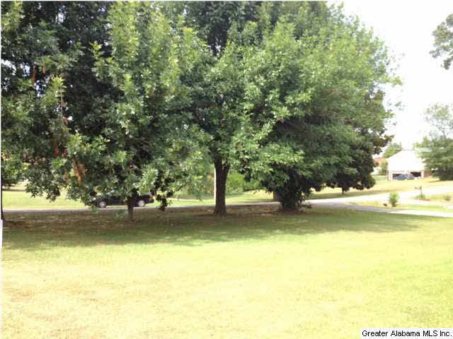307 Hoagtown Loop Mulga, AL 35118 - Photo 28 of 32