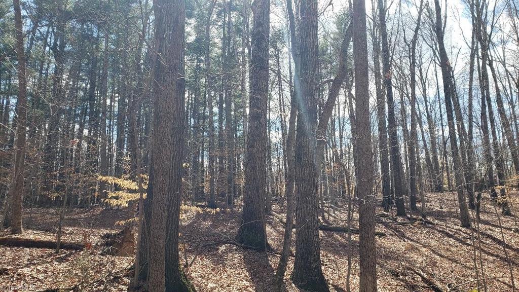 833 Calahaln Road Mocksville, NC 27028 - Photo 11 of 15 Oak forest, homesites