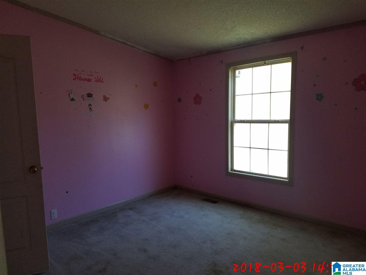 311 George Subdivision Road Jasper, AL 35504 - Photo 4 of 11 Gallery Image 4