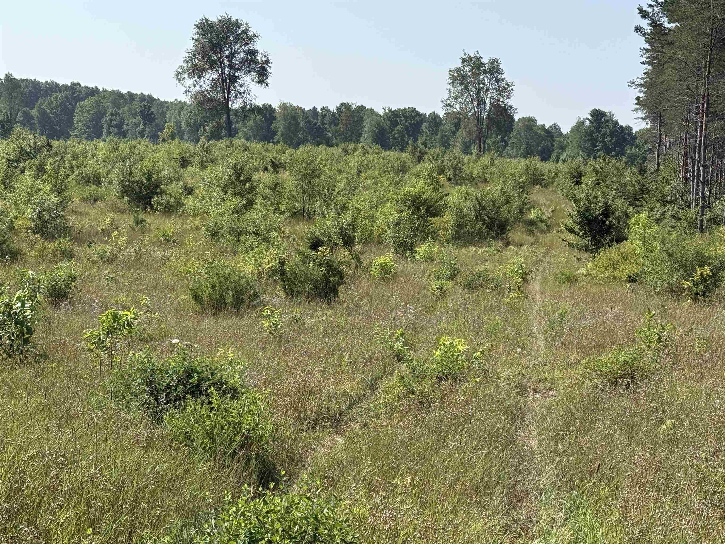 1 East Kasson Road, Unit LOT: A1 Maple City, MI 49664 - Photo 5 of 10