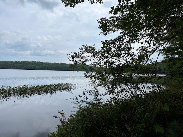 625 Royalston Road Fitzwilliam, NH 03447 - Photo 10 of 24