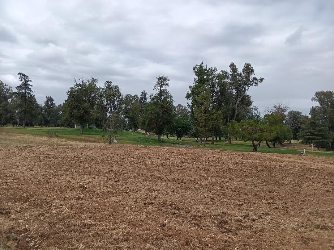 19324 Farallon Road Madera, CA 93638 - Photo 3 of 10 a view of outdoor space with green space