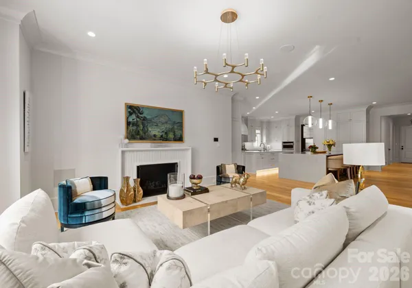 a living room with furniture a fireplace and a chandelier