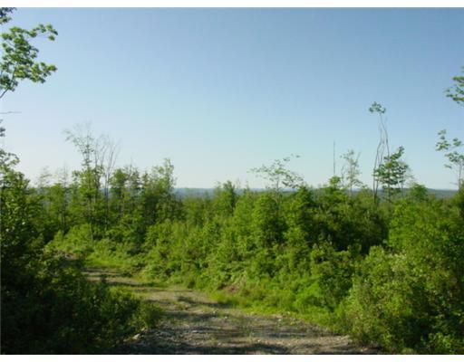 0 Bluff Road Concord Township, ME 04920 - Photo 4 of 5 Land.