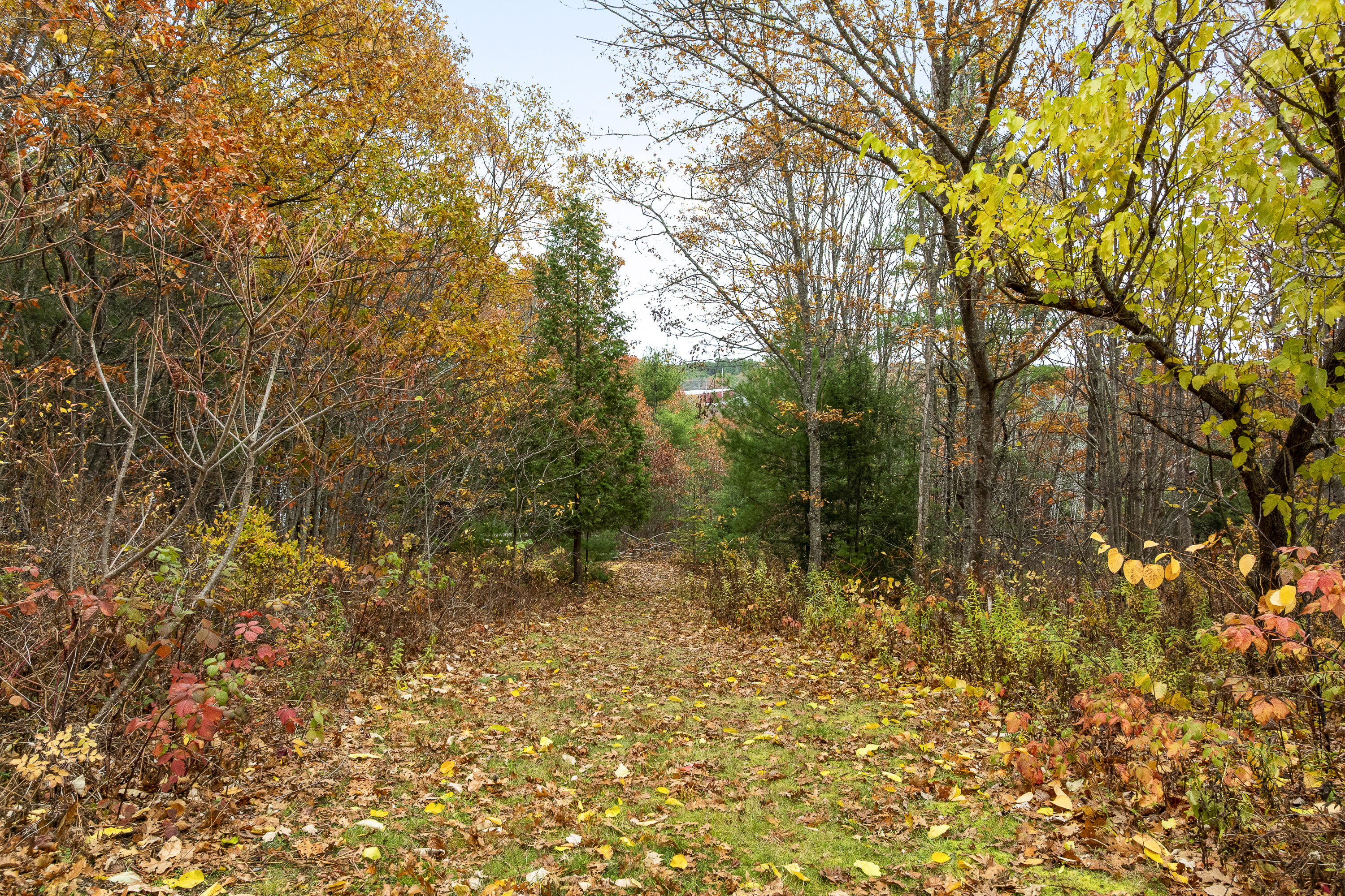 45 Harding Road Brunswick, ME 04011 - Photo 58 of 64 111-45 Harding Rd, Brunswick, ME-TP