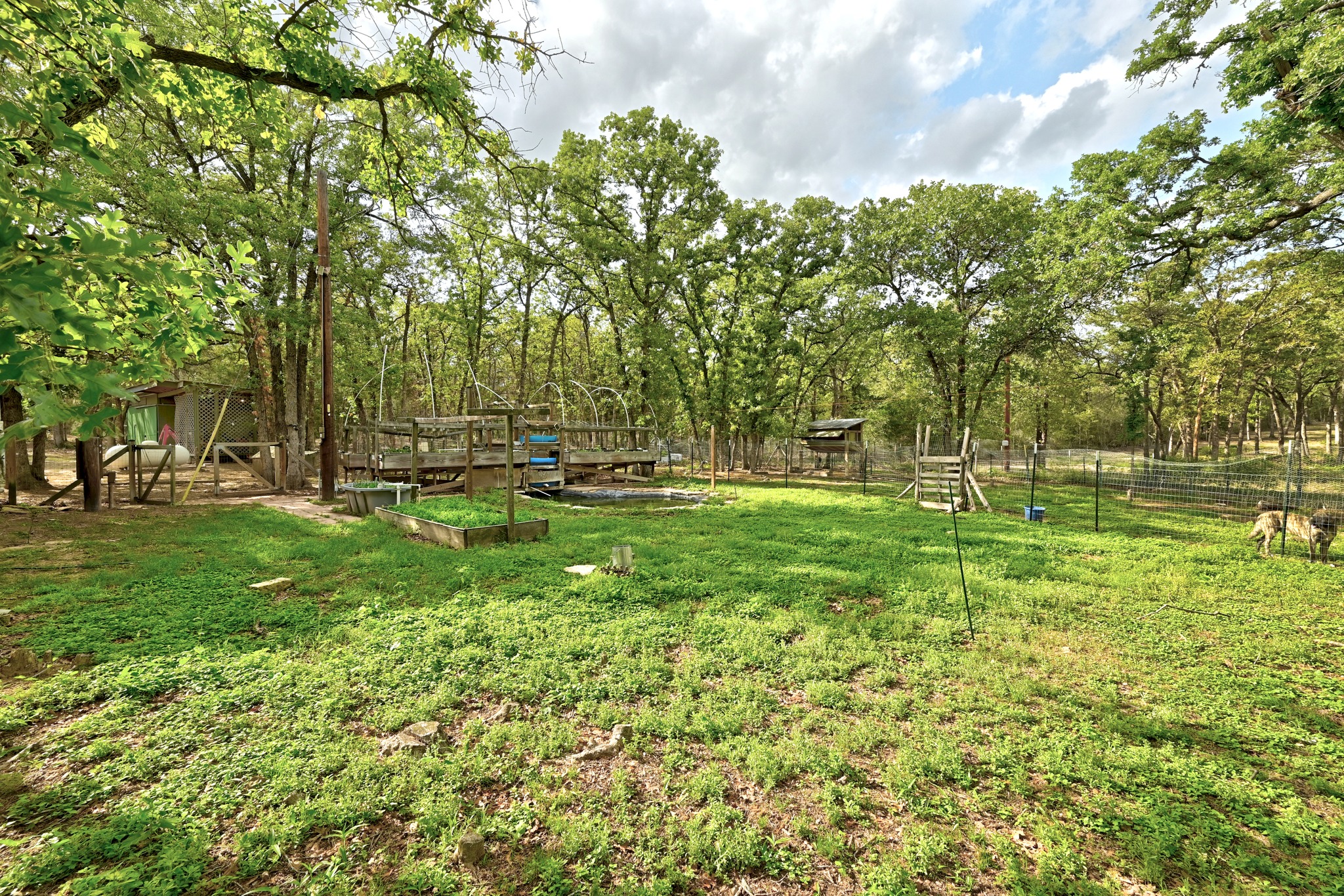 124 Coyote Lane Elgin, TX 78621 - Photo 29 of 40 a view of yard with green space