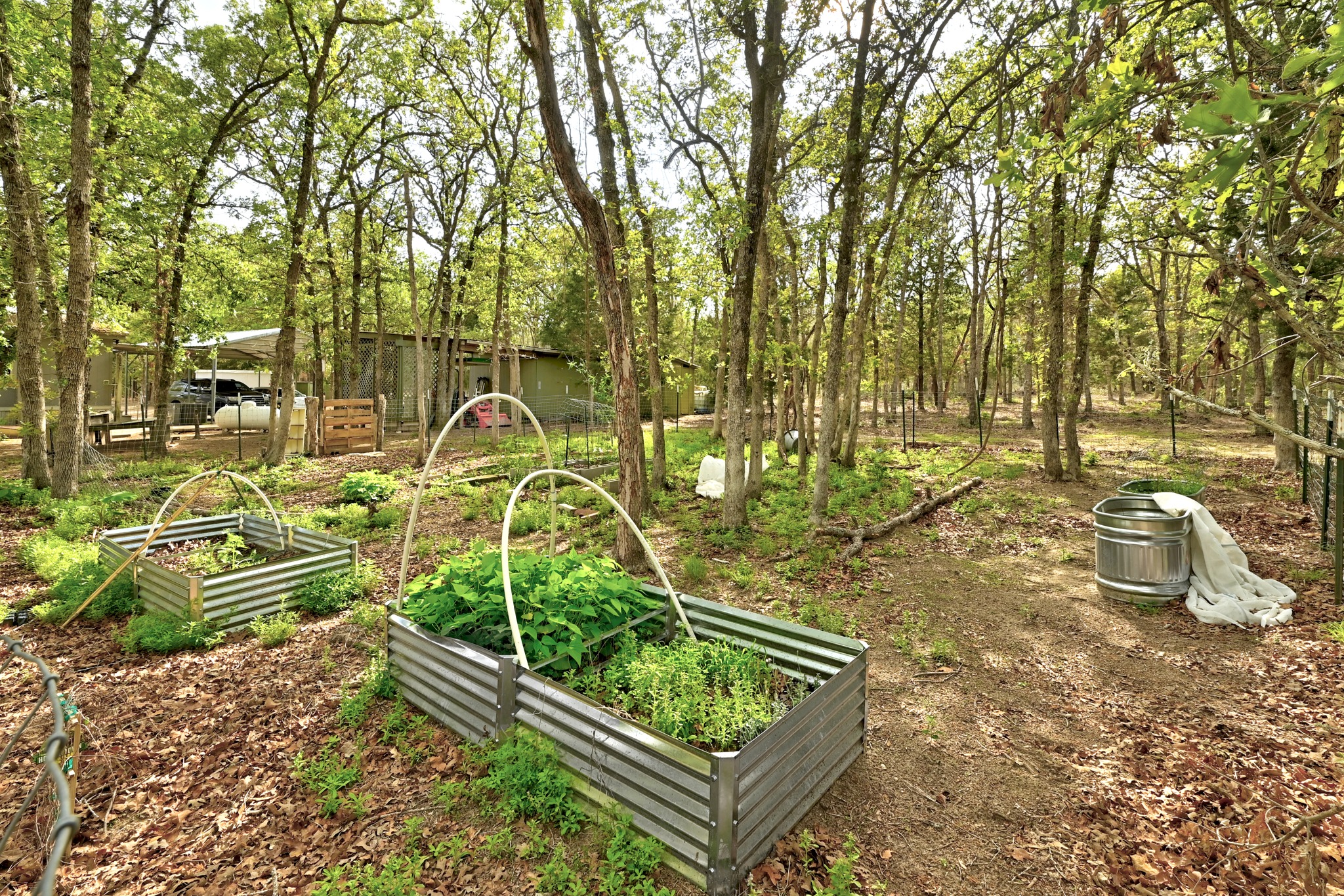 124 Coyote Lane Elgin, TX 78621 - Photo 30 of 40 a view of a yard with large trees