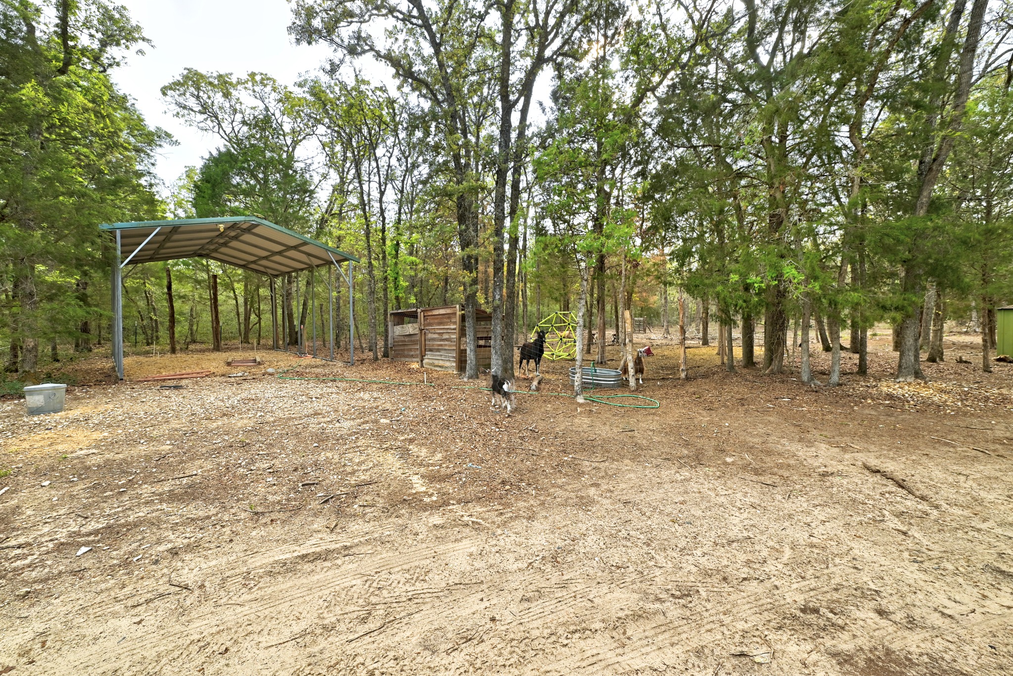 124 Coyote Lane Elgin, TX 78621 - Photo 35 of 40 a view of outdoor space with trees