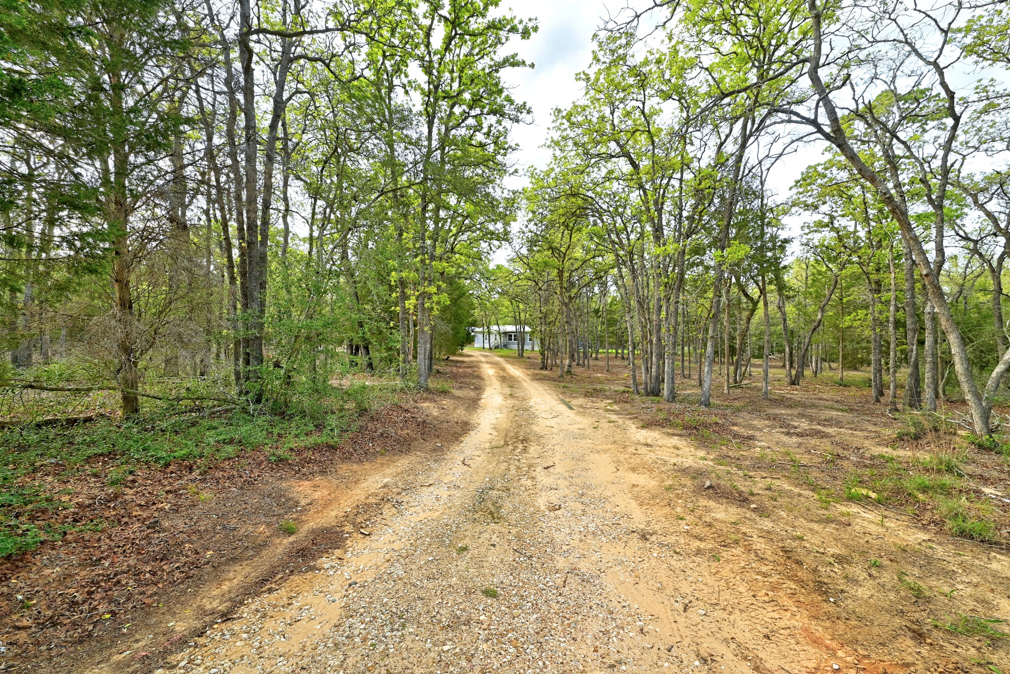 124 Coyote Lane Elgin, TX 78621 - Photo 37 of 40 a view of a yard with trees and a wooden fence