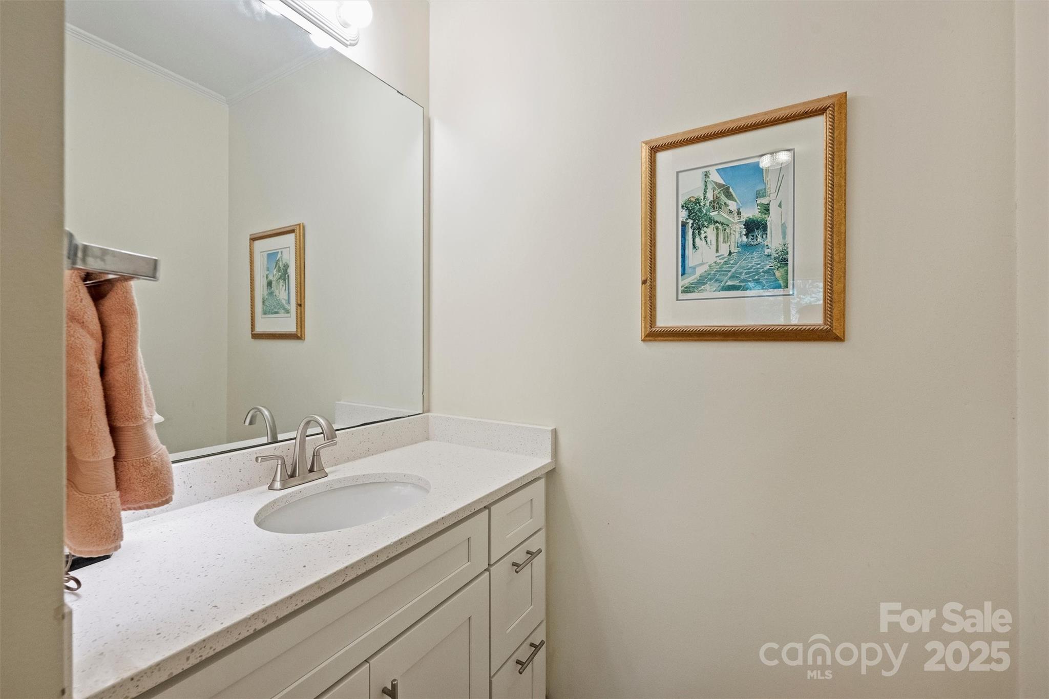 904 Cherokee Road Charlotte, NC 28207 - Photo 24 of 36 a bathroom with a sink and a mirror