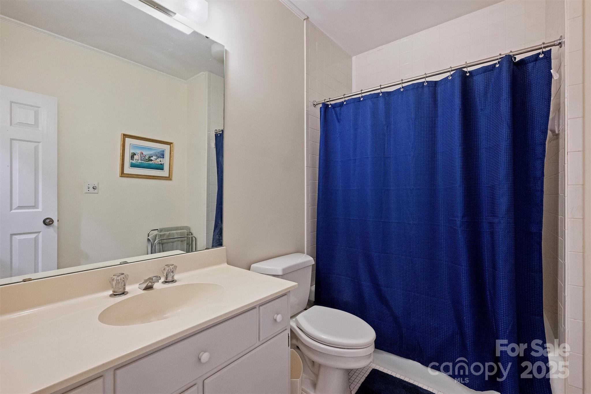 904 Cherokee Road Charlotte, NC 28207 - Photo 28 of 36 a bathroom with a sink and a toilet
