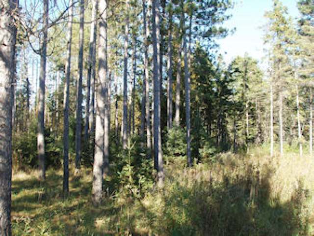75464 Blemel Road Glidden, WI 54527 - Photo 2 of 10 Gallery Image 2